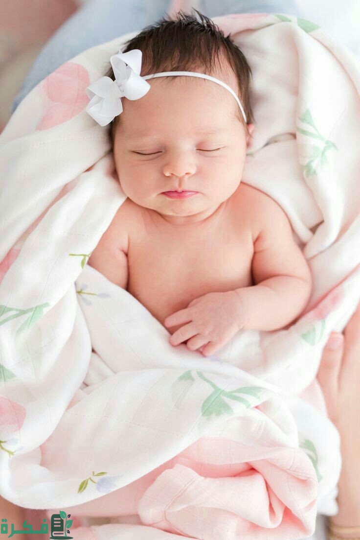 e84006a5191a2203f62348c4fa3fe7fa