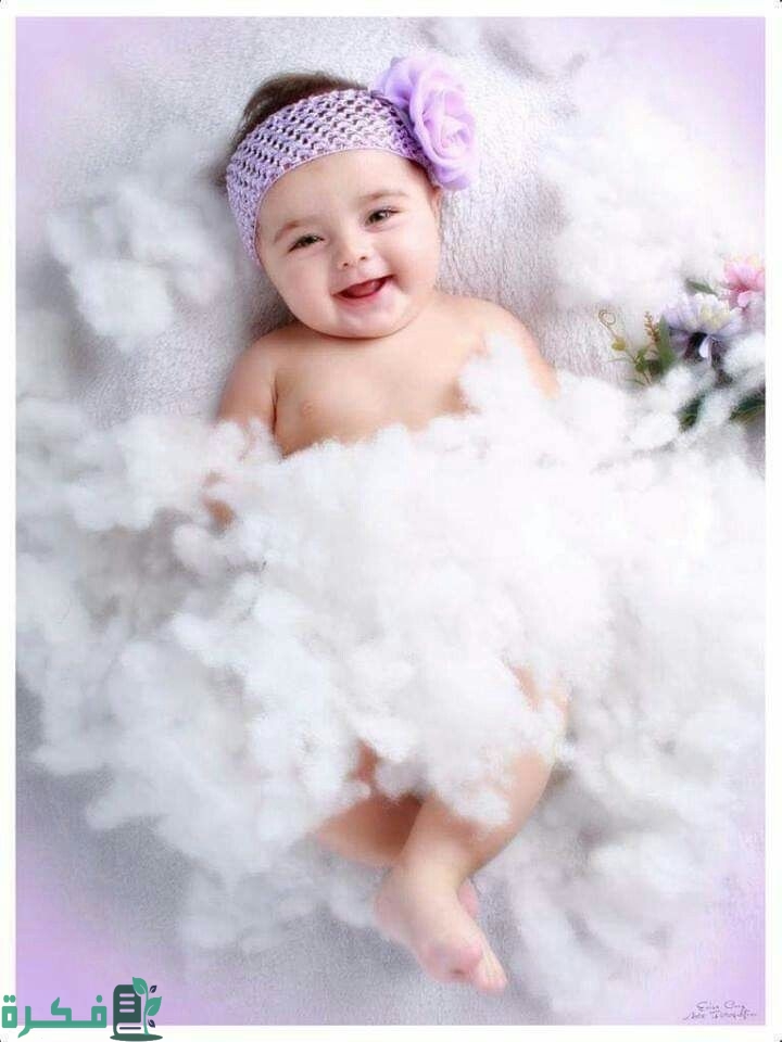 ebb1958bcbf705343370ee85494d218f