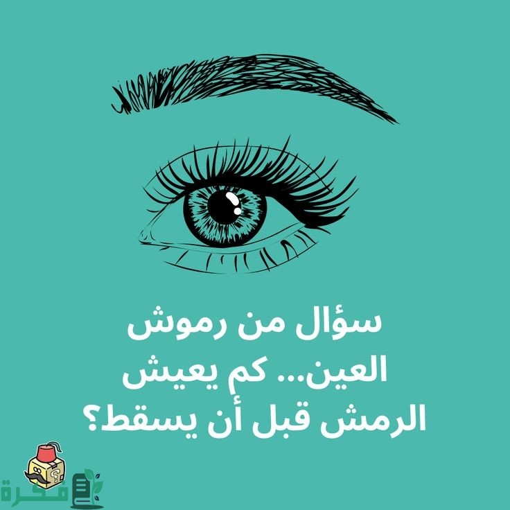 f21be768feefb1d535e678ccec38c6b3