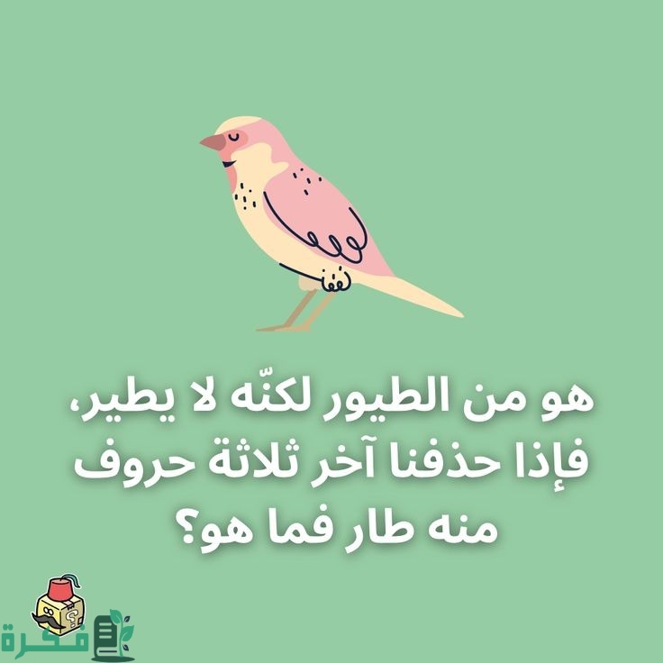 أسئلة للأطفال الصغار 7 سنوات 4 f8b75eb69916a1fa7ec57e9cf227b34f