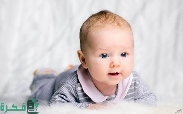 images 2022 10 09T105201.768