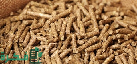 أفضل أنواع علف المواشي في مصر