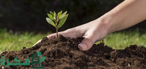 افضل تربة للزراعة في المنزل 5 أفضل تربة للزراعة في المنزل