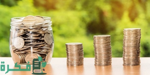 أنواع الرأسمالية وجوهرها