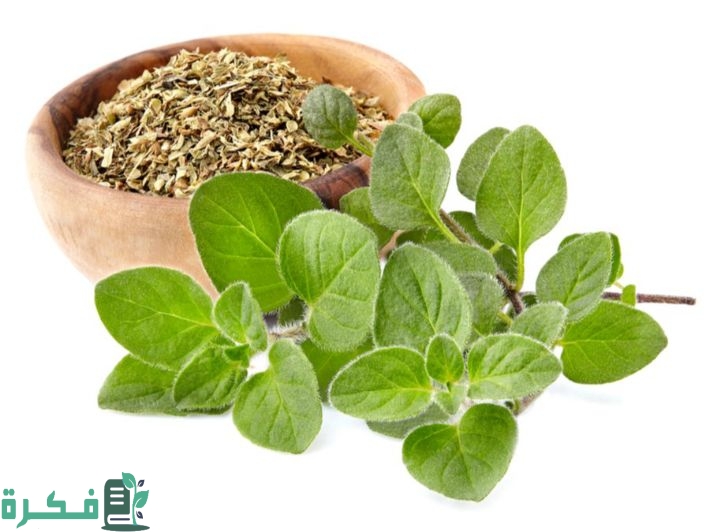 هل من المفيد تناول البردقوش لارتفاع هرمون FSH