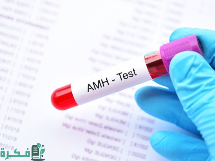 تحليل مخزون المبيض التحضير وأهم المعلومات