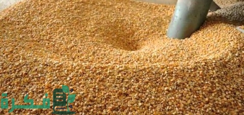 دراسة جدوى مشروع تجارة الأعلاف وإجراءات بداية المشروع وكيفية التسويق للمشروع