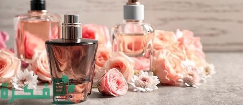 دراسة جدوى مشروع محل عطور وبخور