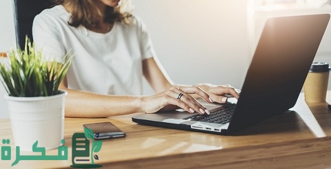 شرح شركة monetizer