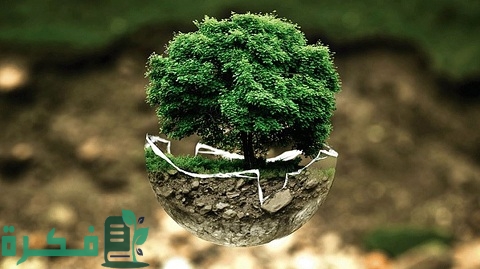 عيوب التسويق الأخضر