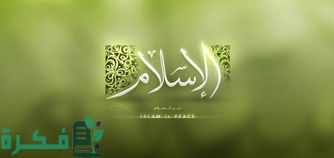 كيف يمكن الدفاع عن الدين الإسلامي ضد بعض الحملات المعادية