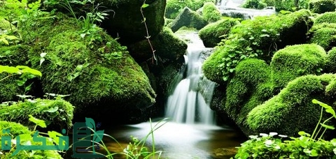 أسماء أبواب الجنة الثمانية 5 ما أسماء أبواب الجنة الثمانية