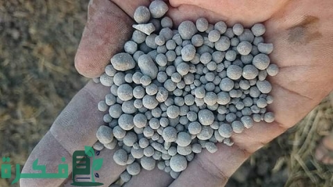 ما الفرق بين سوبر فوسفات الأحادي والثلاثي 4 ما الفرق بين سوبر فوسفات الأحادي والثلاثي وأهم فوائده للنباتات