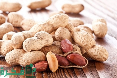 ما هي أكثر دول العالم إنتاجًا للفول السوداني