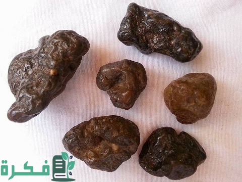 ما هي فائدة حجر الهبهاب