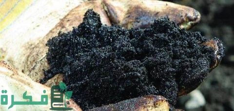 ما هي مراحل تكوين النفط