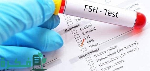 ما هي نسبة هرمون fsh الطبيعية عند النساء