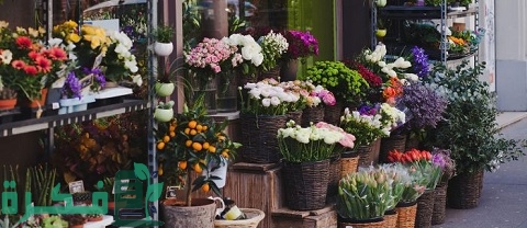 مشروع الورد من أكثر المشاريع ربحًا