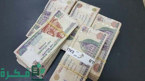 مشروع برأس مال 100 ألف جنيه وبعض الأفكار الناجحة
