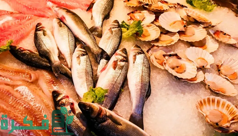 مشروع تجارة الأسماك المجمدة