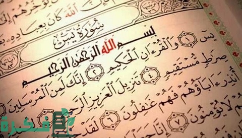 هل ورد حديث صحيح في فضل سورة يس