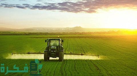 دراسة جدوى استصلاح 20 فدان