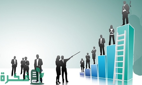 تأسيس الشركات في مصر pdf