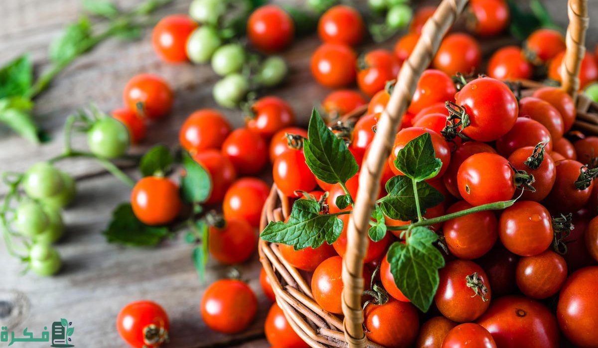 استخدامات الطماطم الكرزية