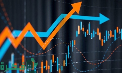 عناوين شركات تداول الأوراق المالية في مصر
