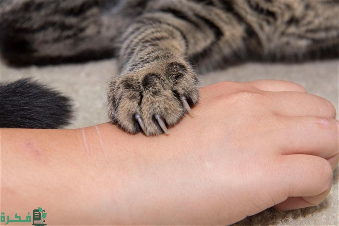 2022 6 6 22 4 22 953