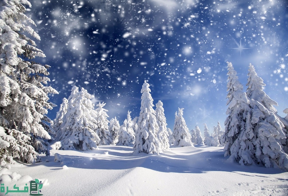 ما تفسير حلم رؤية الميت يجلس في الثلج 3 22222222