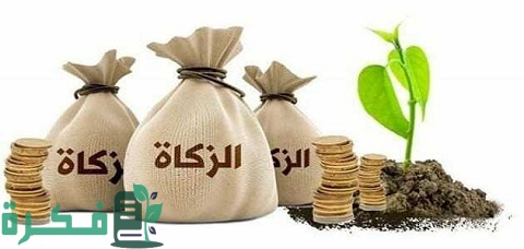 حوار بين شخصين عن الزكاة