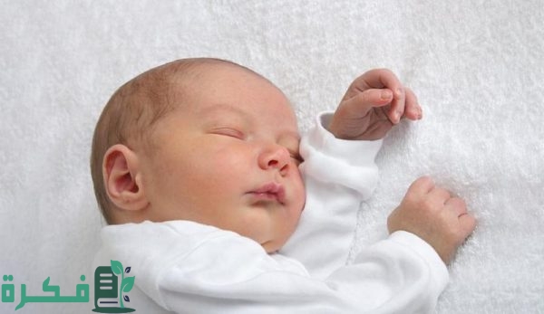 2735116 2132085546 600x347 1