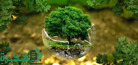 أقسام الدراسات البيئية وفرص العمل بها 4 أقسام الدراسات البيئية وفرص العمل بها