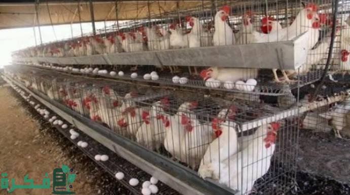 4eca9567b8c1850b105ce9f8