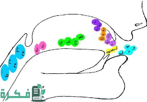 مخارج الحروف وصفاتها بالصور
