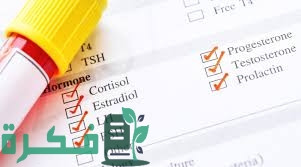 7E04034B 8CAA 4C2E 906E 6DA6FA7EBEFF