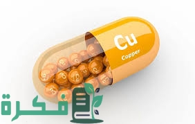 BB17611B 28CF 4738 832A C5CDA94BC825