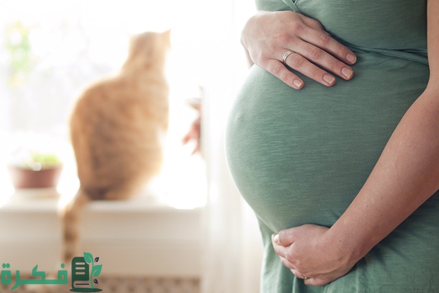 Cats and Pregnancy