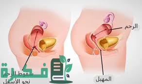 D2EDB9D3 460A 4015 B40D D56CCA7C9462