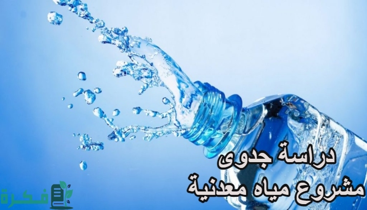 Feasibility study of a mineral water project