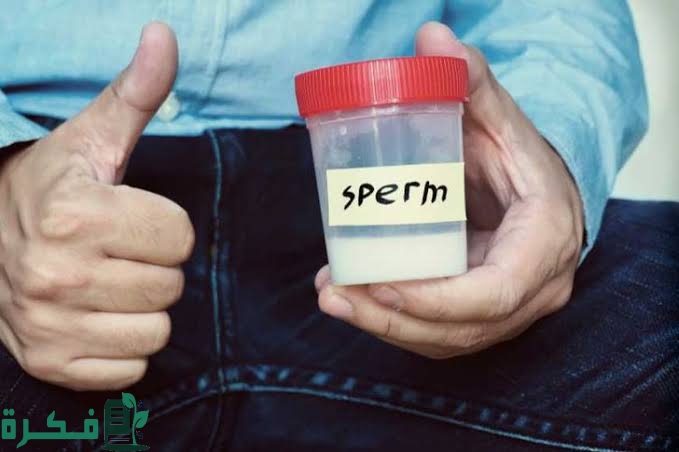 images 2022 11 10T214323.635