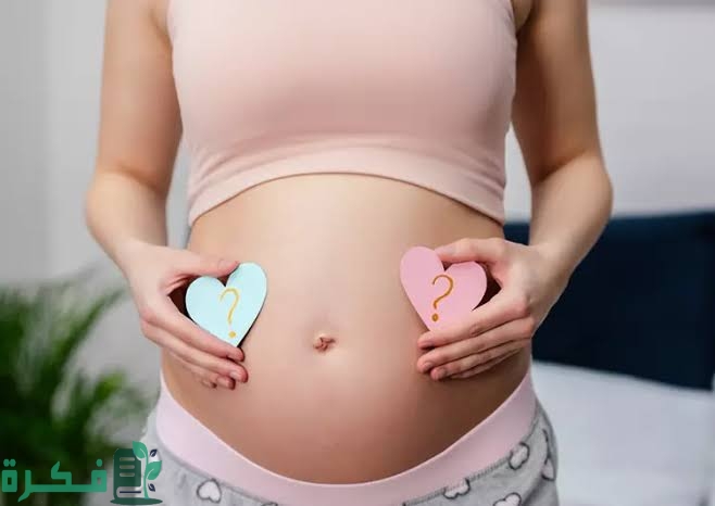 images 2022 11 10T220813.010