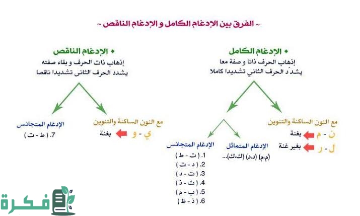 هل يأتي الإدغام في كلمة واحدة 3 images 2022 11 16T211943.992