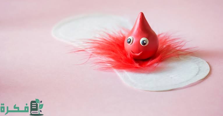 images 2022 11 16T212123.138