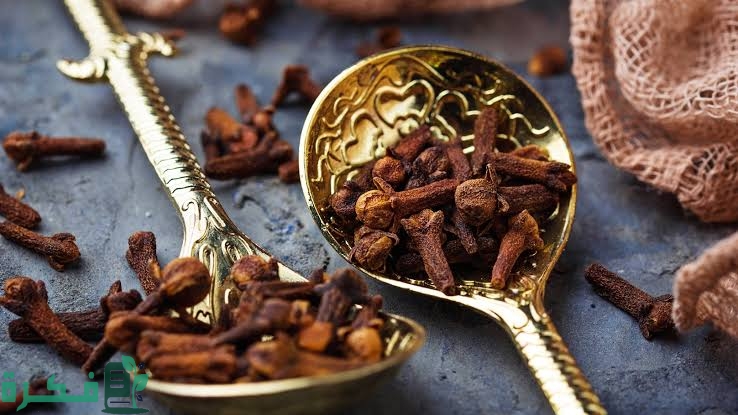 images 2022 11 21T221737.362