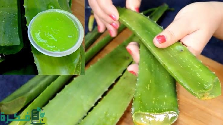 images 2022 11 21T222044.490