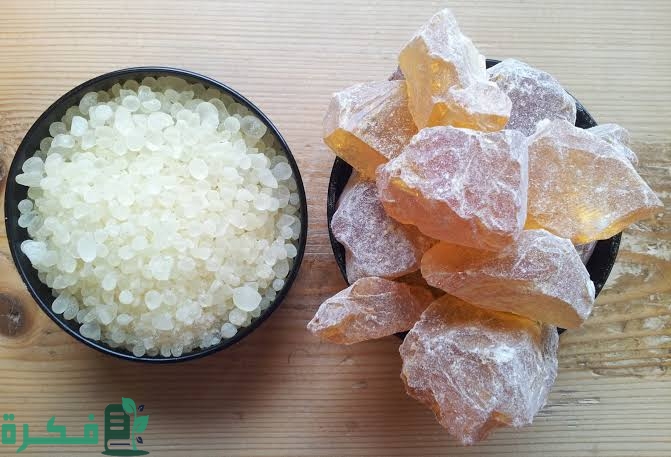 تجربتي مع المستكة للجرثومة 4 images 2022 11 22T193002.440