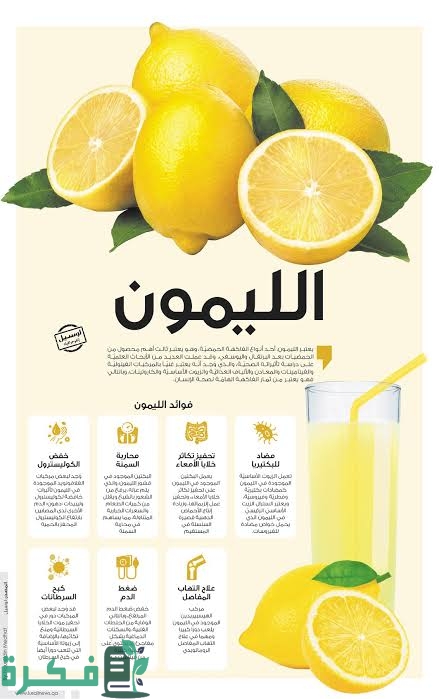 images 2022 11 22T233038.675