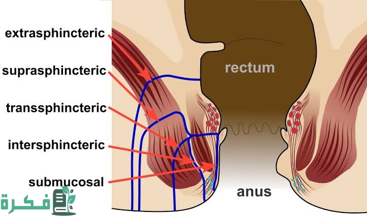 images 2022 11 30T222831.254